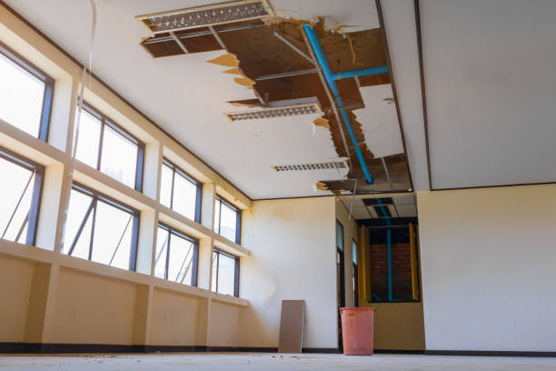 Best Fire Damage Restoration  in Manasota Key, FL