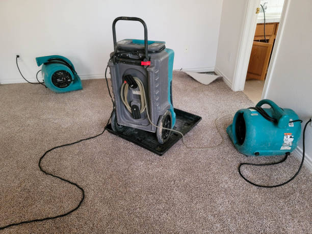 Water damage restoration process in Manasota Key, FL