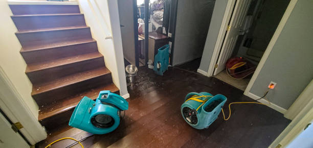 Best 24-hour water damage restoration  in Manasota Key, FL