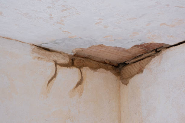 Best Water damage contractors near me  in Manasota Key, FL