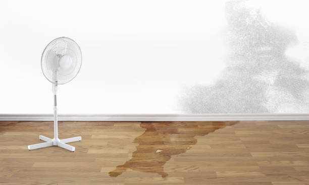 Best 24/7 water damage repair  in Manasota Key, FL