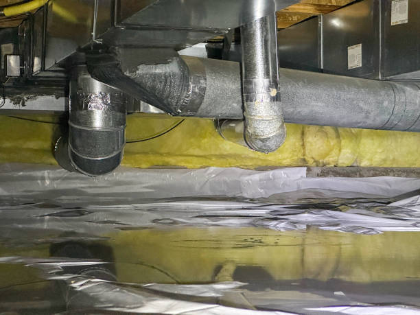 Best Carpet water damage restoration  in Manasota Key, FL