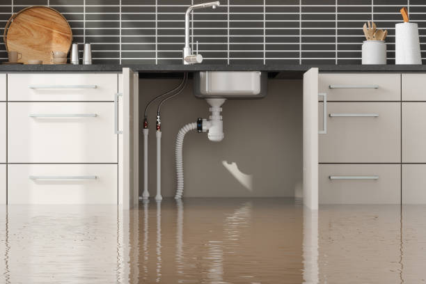 Best Basement water damage restoration  in Manasota Key, FL