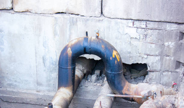 Best Water damage restoration near me  in Manasota Key, FL