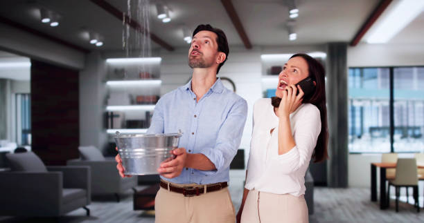 Best Sewage cleanup and water damage restoration  in Manasota Key, FL