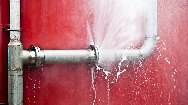 Best Flood restoration services  in Manasota Key, FL